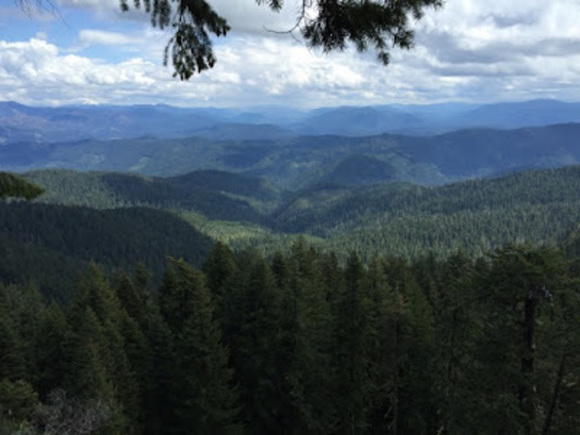 Meet your Posher, Josh - Picture 1 of 1